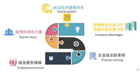 计算机科学与技术 引领信息时代的核心技术支撑与咨询服务