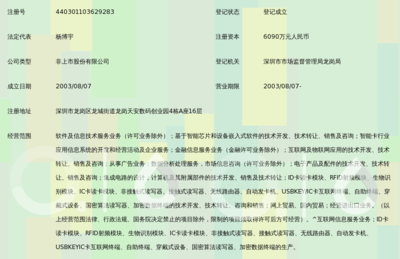 锚定信息技术未来 广东华大互联网股份的咨询之道