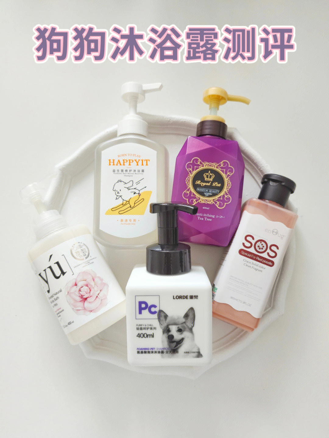 狗狗沐浴露用品测评与选择指南 计算机信息技术视角下的科学推荐